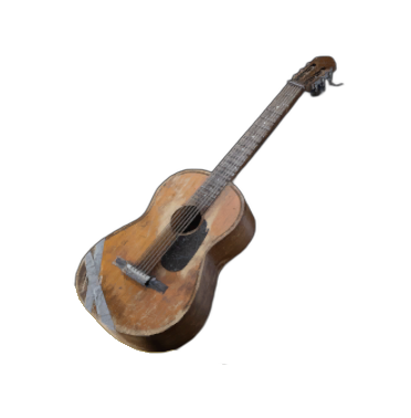 Acoustic Guitar