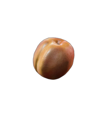 Apricot