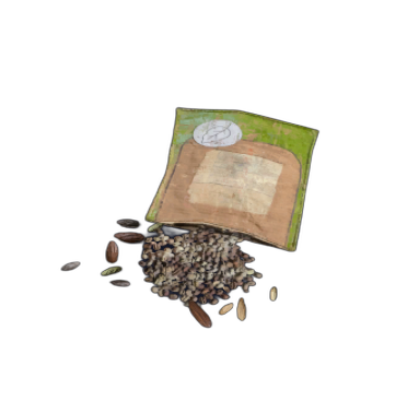 Assorted Seeds