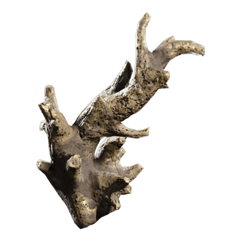 Fossilized Lightning