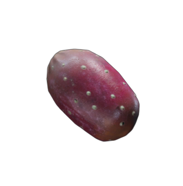 Prickly Pear